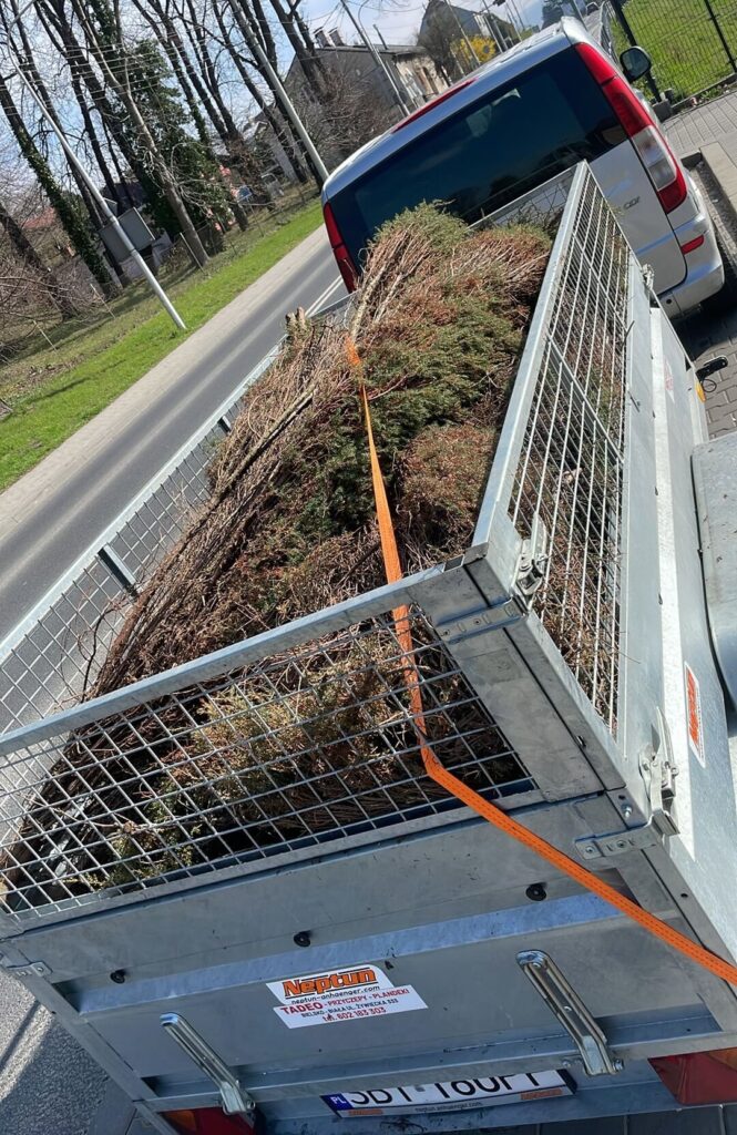 odpady zielone załadowane na przyczepę